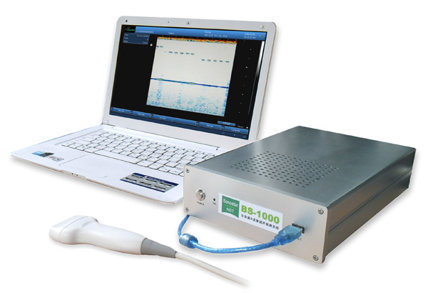 BS-1000 ultrasound box B imaging inspect imaging system(NDT, ultrasonic, B scan)